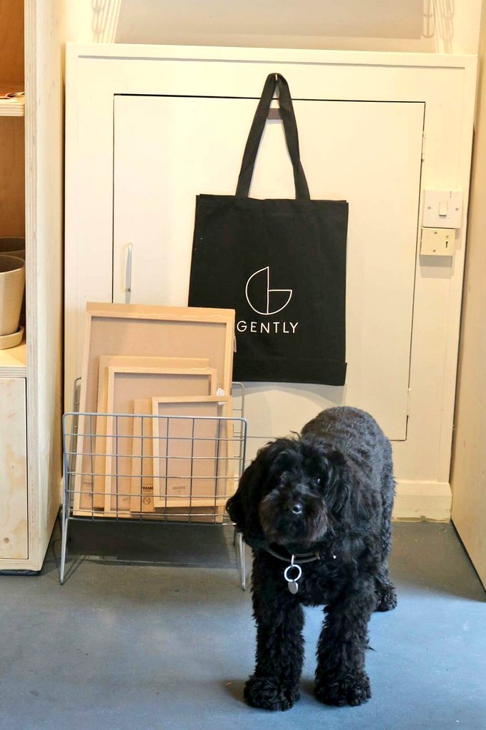 gentlyhome's tweet photo. Come and say hi on our first full Saturday! We have lots of great stuff for your browsing pleasure #croftonpark #shoplocal #dognotforsale https://t.co/dWRnGtFznA