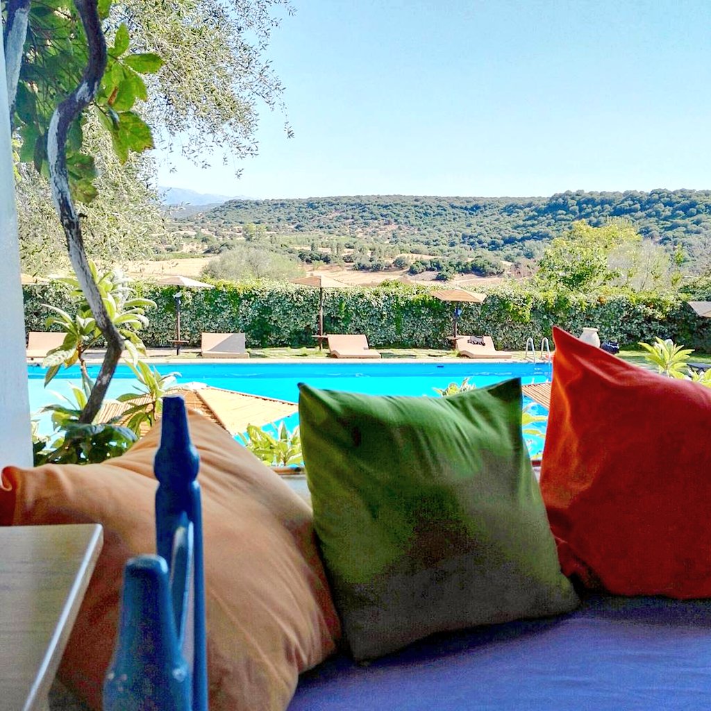 LesTasters's tweet photo. En direct du paradis, ici tout va bien #pates locales busa, mirto de #sardegna artisanat traditionnelle @SUGOLOGONE https://t.co/iDVGm9wfwO
