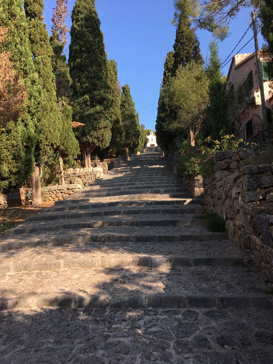 iteach66's tweet photo. 24, 7, 365 Steps to the top! @Cehewes  @technojohnson https://t.co/DbQuEcUdjY