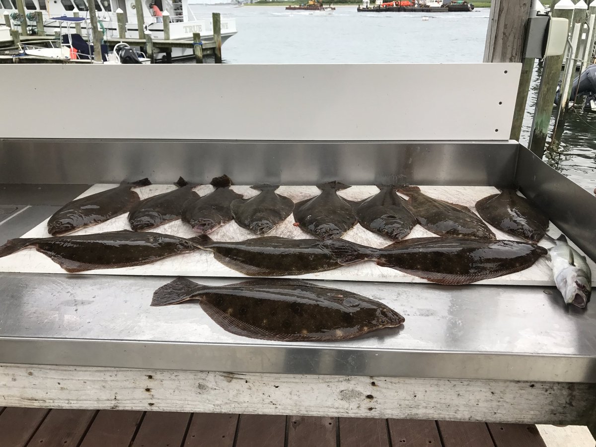 HoffmansMarina's tweet photo. Drop Off limits out..
#ADock #hoffmansmarinaeast
#fuelbaitice #scale
⚓🎣⛽🐟 https://t.co/ReOgwyFTdG