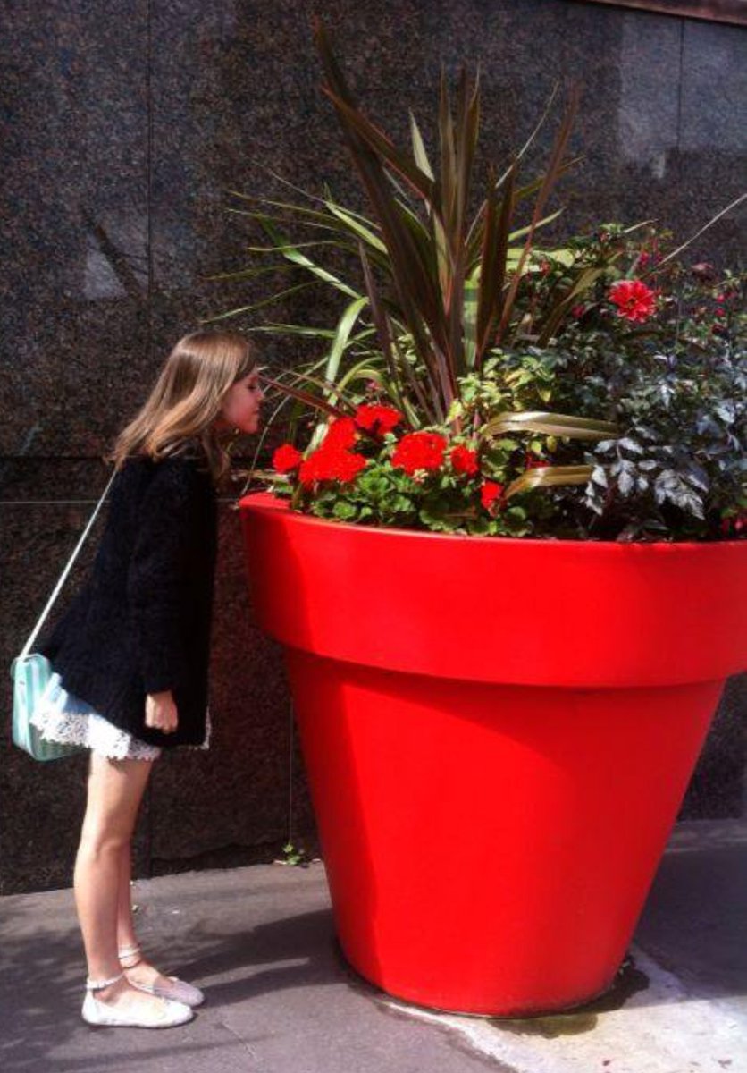 Carly Thompson tweet media