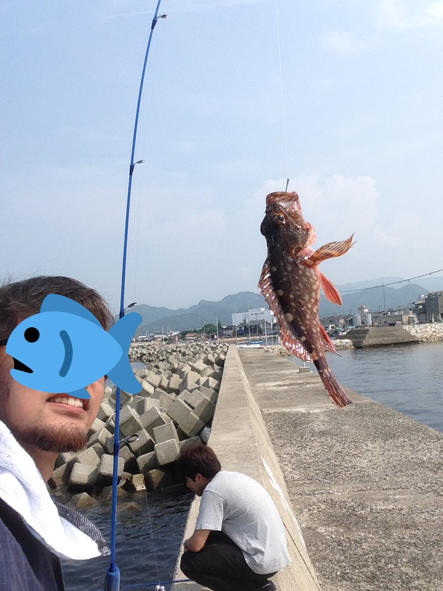 tat_o_c_'s tweet photo. 本日の釣果ぁー @三本松港and安戸港 https://t.co/a2DZxt91ZS