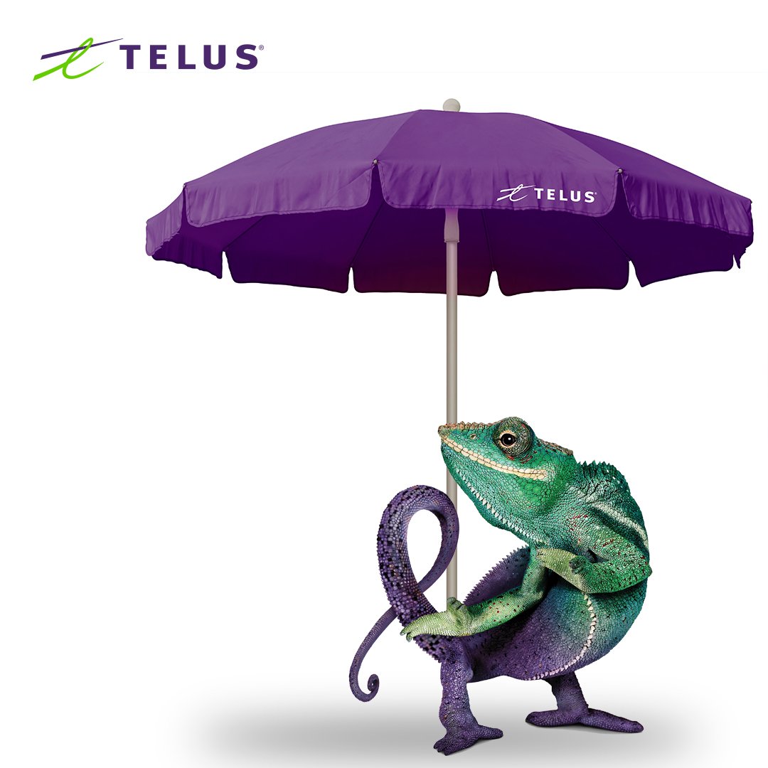 WB_Media's tweet photo. Come to Wasaga Beach today for some fun with @TELUS! There will be treats, amazing deals and a chance to win great prizes #FriendlyFeelsGood https://t.co/GY7h2xdYC8