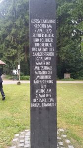 buy Pseudogenes : functions and protocols