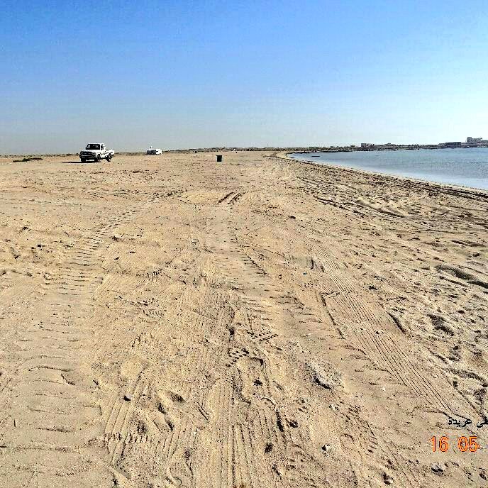 albaladiya's tweet photo. #البلدية_والبيئة ممثلة في إدارة النظافة العامة تنفذ العديد من معسكرات وحملات التنظيف للشواطئ والجزر والموانئ التابعة للدولة.
#قطر
#Qatar https://t.co/Nm6Rx57JAG