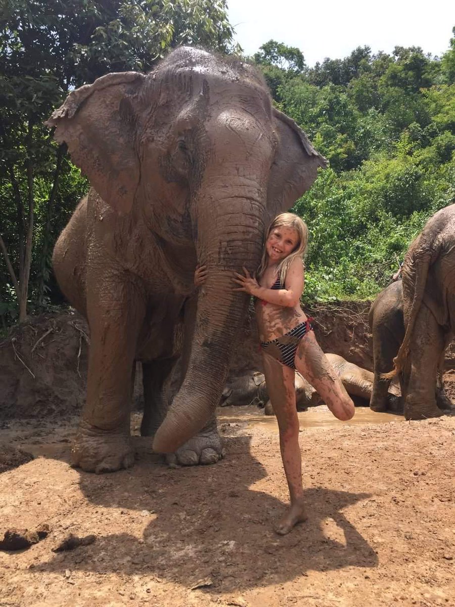 Kate_chiangmai's tweet photo. Monkey girl with elephant https://t.co/tMbm2ccYv7