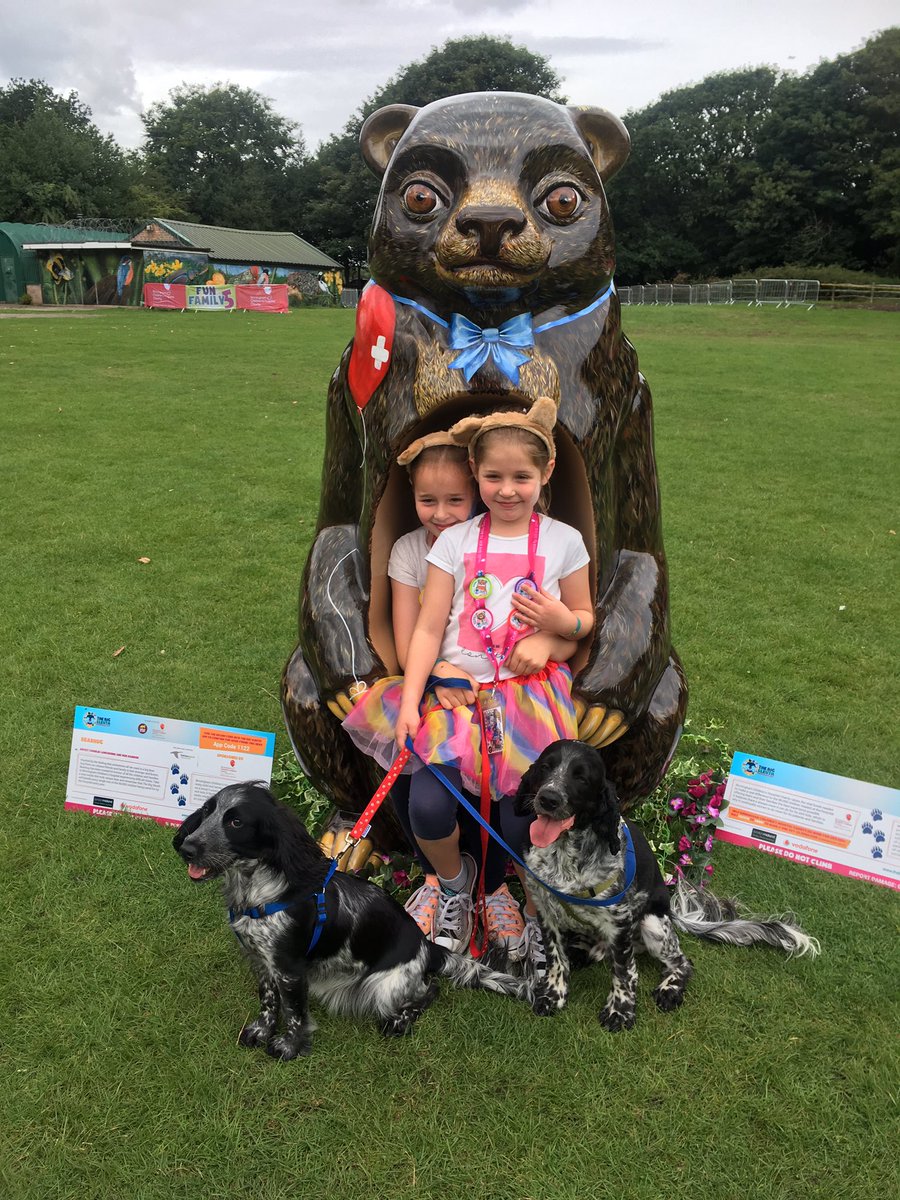 TheBigSleuth's tweet photo. The bear-utiful @BearhugTBS is already proving bear-y popular! He's making lots of furry new friends! 🐻🔎 https://t.co/K0w9Wywq5R