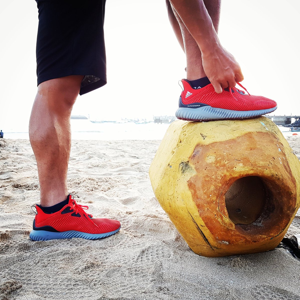 m_taufiq08's tweet photo. 🔴🔴🔴 FW17 ALPHABOUNCE👊

@adidasindonesia 
#adidasindonesia #adidasrunning #alphabounce #tiemadidas #YESadidas #footballicious https://t.co/CDXAjOwdkZ