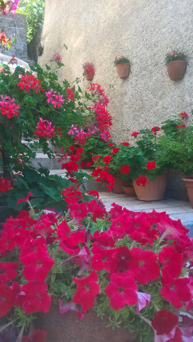 FilipponeCarmen's tweet photo. #Buongiorno #Trecchina #Basilicata  #estate2017 https://t.co/JgMDa4ddLG