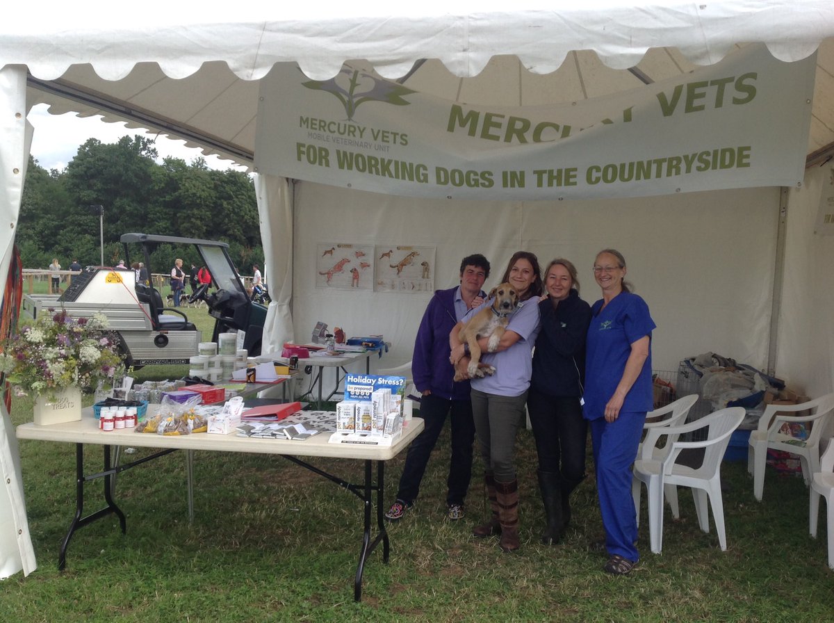 The veterinary team on duty <a href="/TheGameFair/">The Game Fair</a> . No severe emergencies yet but we are prepared for anything !