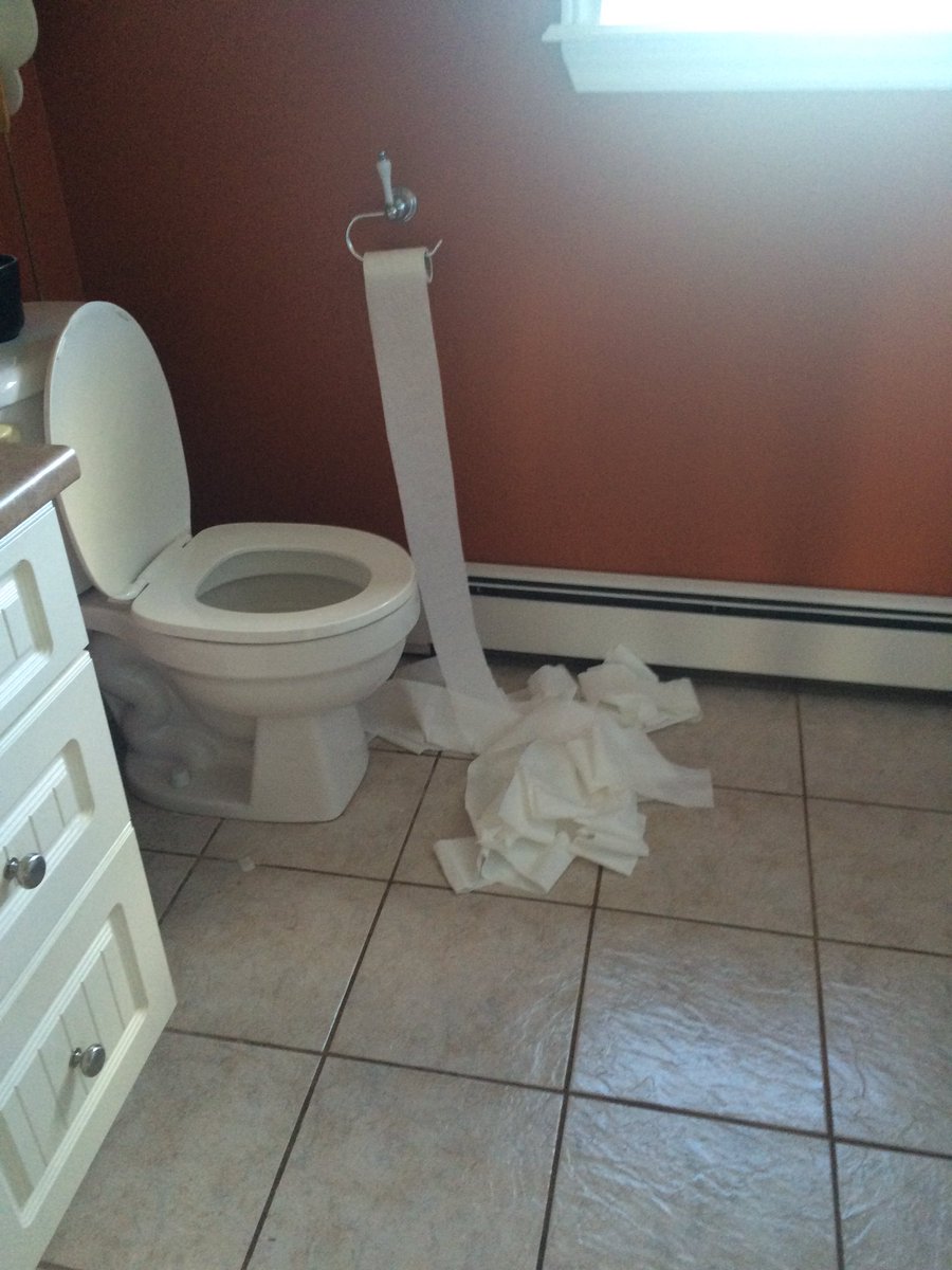 Why do cats have to be like that? #asshole