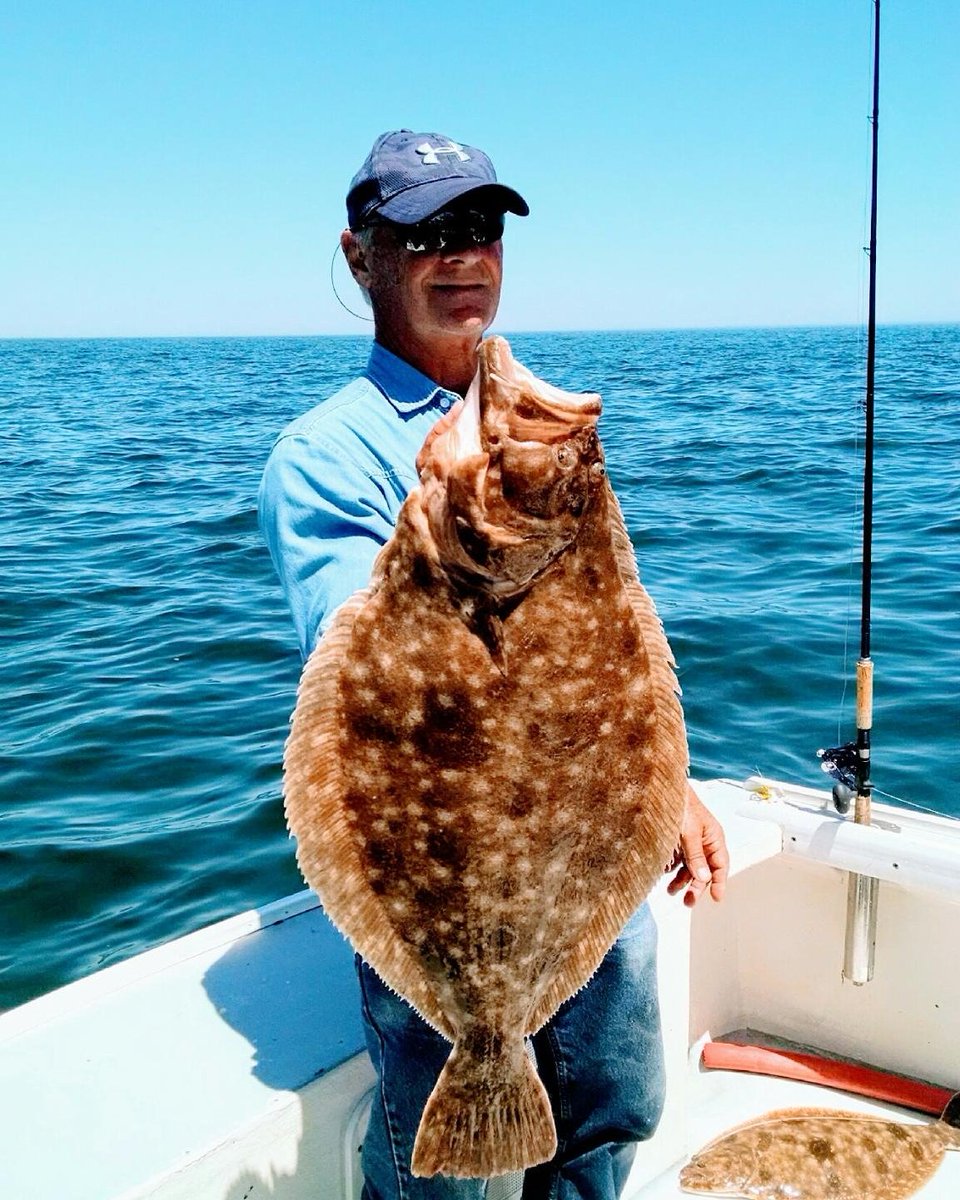 HoffmansMarina's tweet photo. Bill Horvath of Variety out of Hoffman's Marina West with his 13lb 3oz 31.5 inch catch of the day....
#ADock #hoffmansmarinawest #brielle https://t.co/uizEIpmilZ