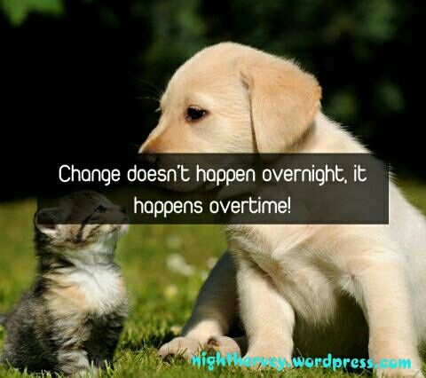 jehan_nightH's tweet photo. Change doesn't happen overnight, it happens overtime! #mustread #dailymotivation #Goodreads #Wisdom #rt #free #ebook https://t.co/ehIioqd8Tx https://t.co/QGZA50m0nd