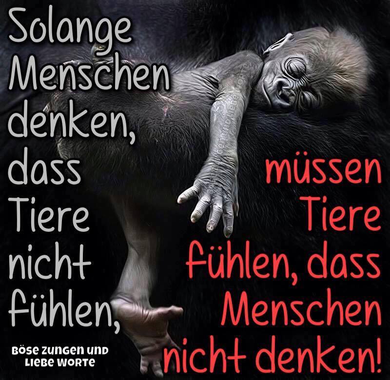 Bea At Berlinbea030 Twitter