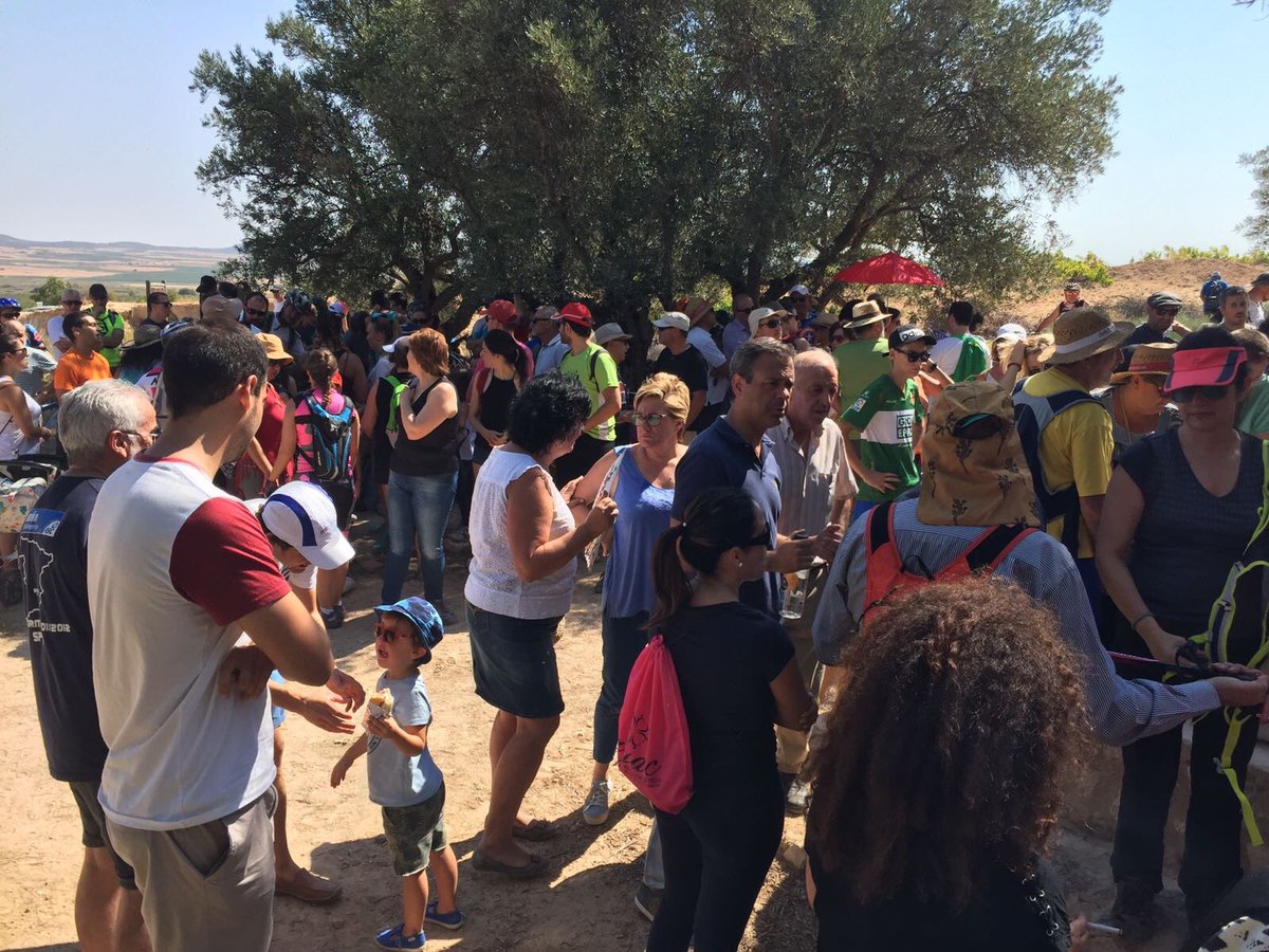 MarcosOrtuno's tweet photo. Esta mañana como un yeclano más, en defensa de nuestro monte Arabí #Yecla #SalvemosElArabí https://t.co/aHJkXgs6n6