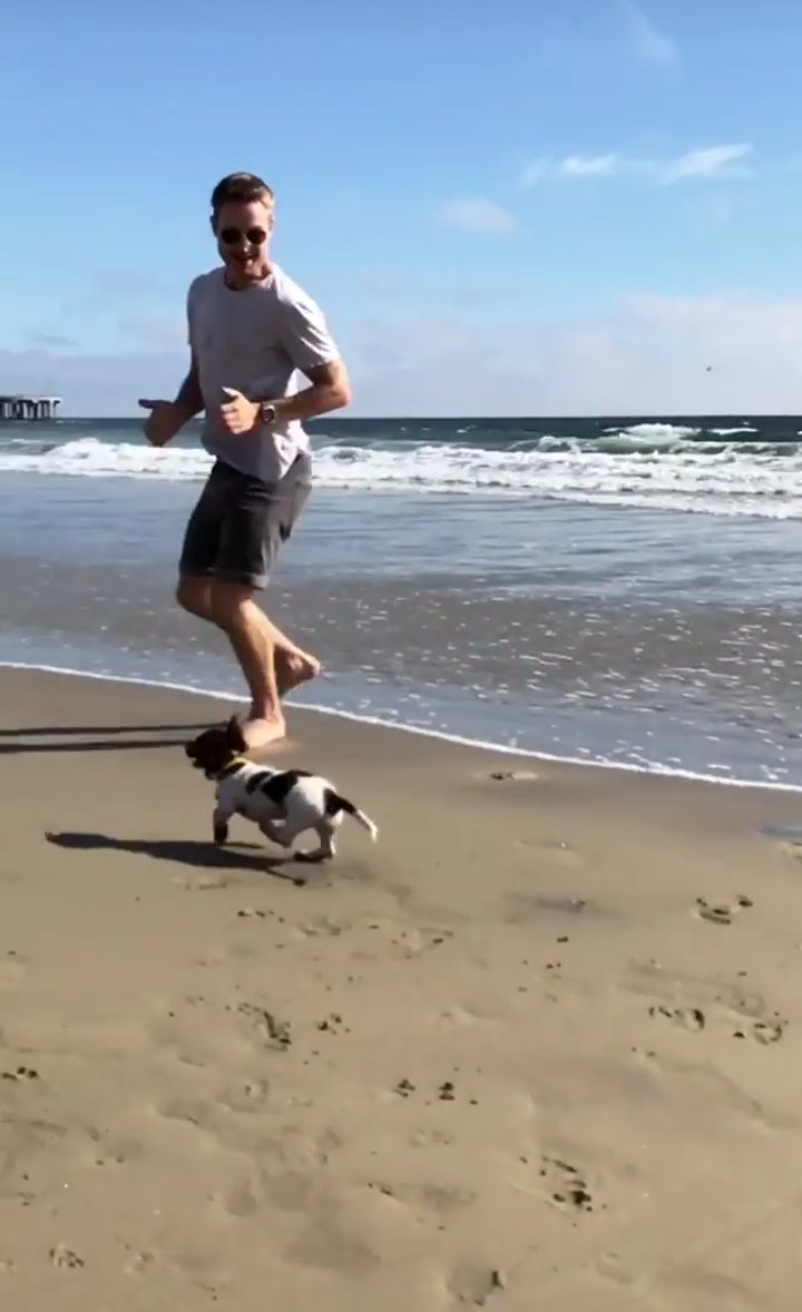 LilyKnightXx's tweet photo. @CalebKnight_112 @yasminKnight42 daddy and mummy and our dog bonnie on the beach💕🐶 https://t.co/1hyHU94NwD