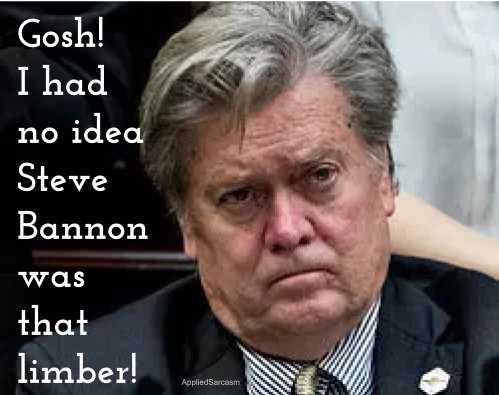 ToquevilleProj's tweet photo. I had no idea Steve Bannon was so limber https://t.co/Vygv7qqApC