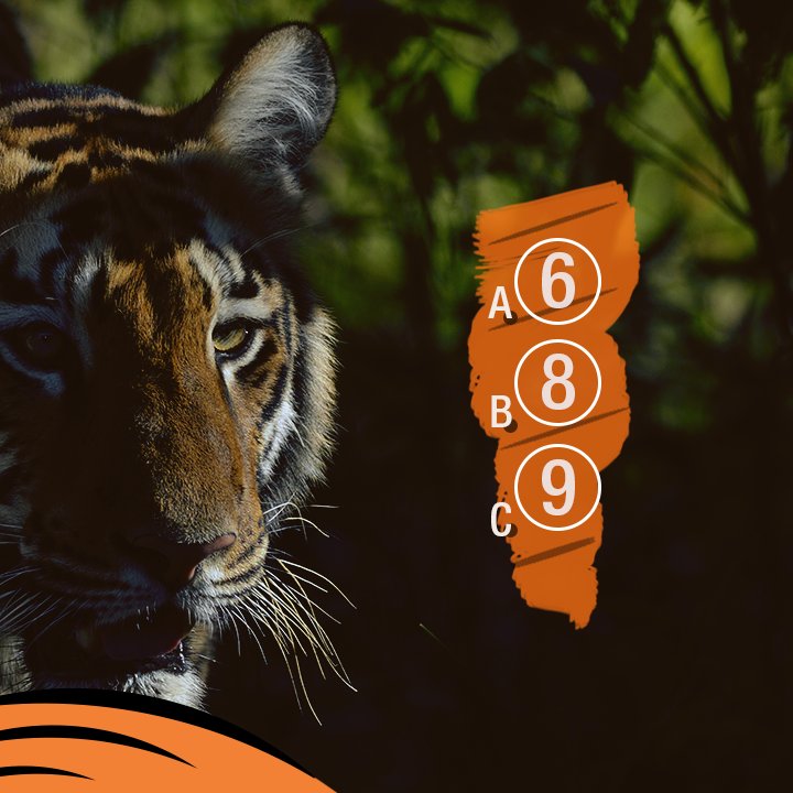 Save Our Tigers tweet media