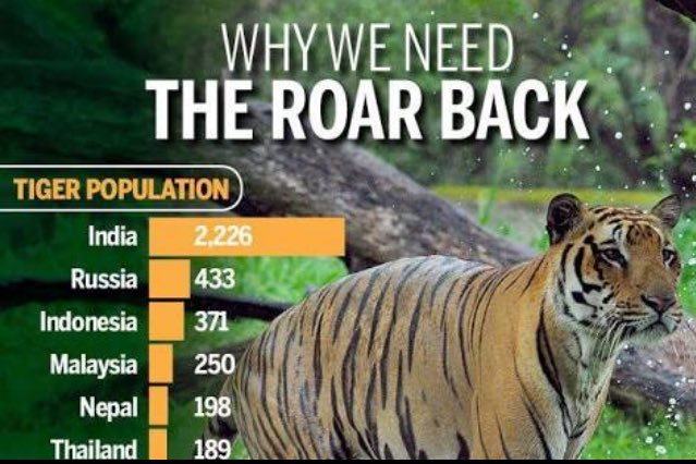 iamsandeepr7's tweet photo. The national animal of India Tiger our national pride&amp;one of the most beautiful creatures on #earth  save the tigar #InternationalTigerDay https://t.co/T8lfuU84tZ