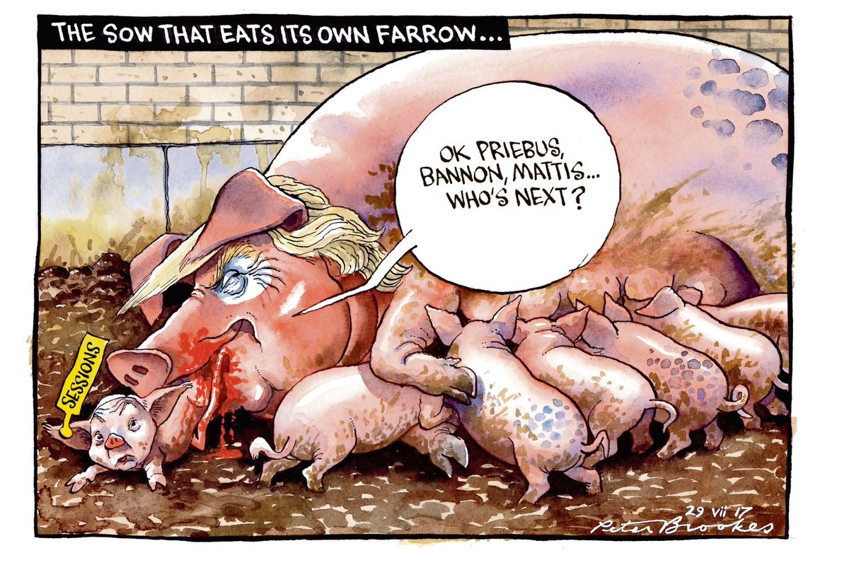 BrookesTimes's tweet image. My cartoon Saturday @TheTimes on the #WhiteHouse sow that eats its own farrow #Trump #Priebus