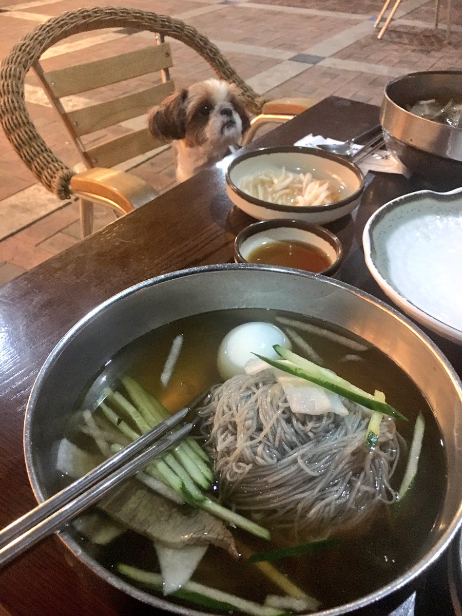 promunhak's tweet photo. 호수공원 산책하고 우리랑 냉면 먹었다. 강아지 친화적인 동네 일산. 한번은 오피스텔에 "혼자 남은 강아지가 짖는 일이 많아지고 있습니다. 견주분들은..." 써있길래 헉 내보내라는 건가!했는데 "도그TV를 틀어주시기 바랍니다"라고 써 있어서 매우 놀람🐶 https://t.co/cc9FjnvRms