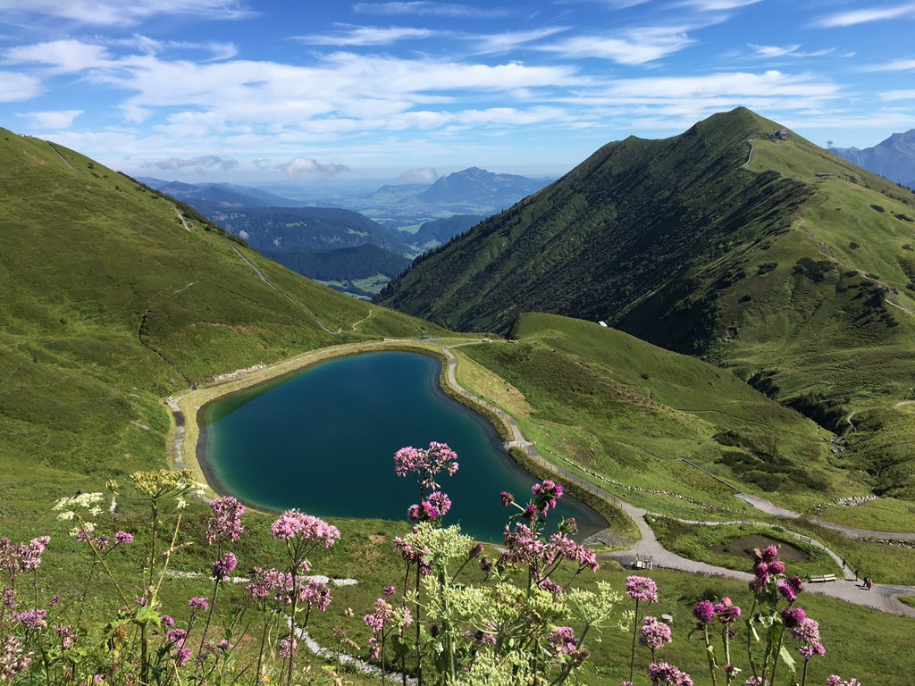 Manfred Meindl (inaktiv) tweet media