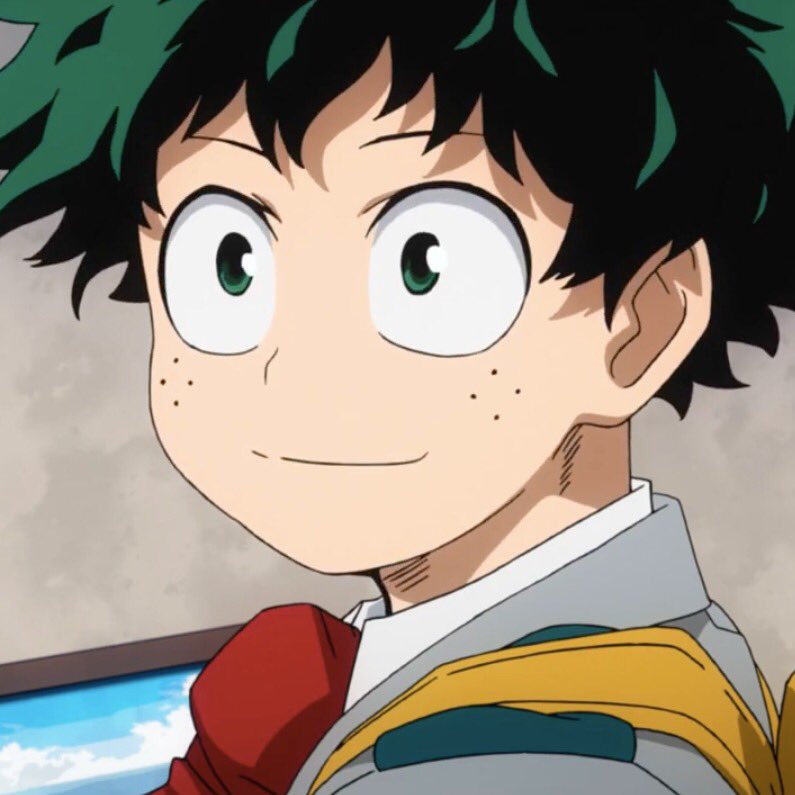 Midoriya Izuku | 2048