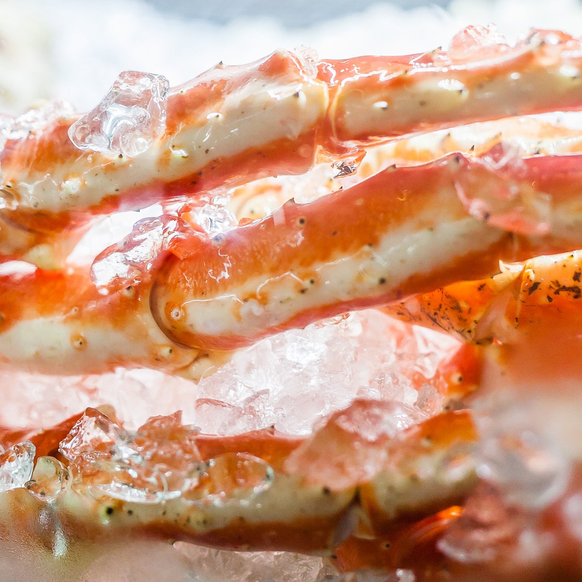 En Boca Grande usamos el mejor producto traído directamente del mar 🌊 Como este espectacular Cangrejo Real 🦀 #bocagrandebcn #crab #foodbcn