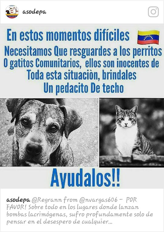 Zapata_zos's tweet photo. Ojo con esto. Colaboremos, por favor. https://t.co/A19508Vmns