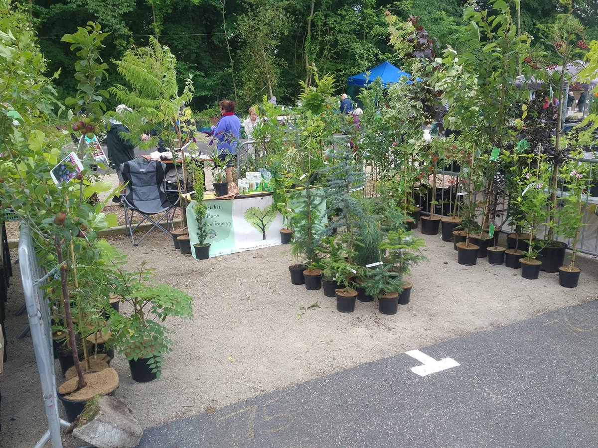 RHSI show Russborough House, Wicklow