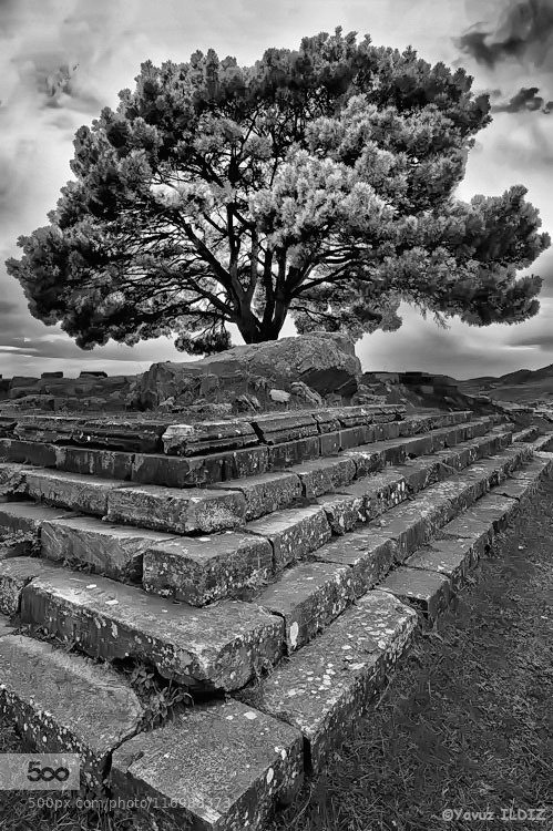 archaeologyart's tweet image. Basement of the #Pergamon Zeus Altar, Anatolia (Photographer: Yavuz Yıldız on 500px)