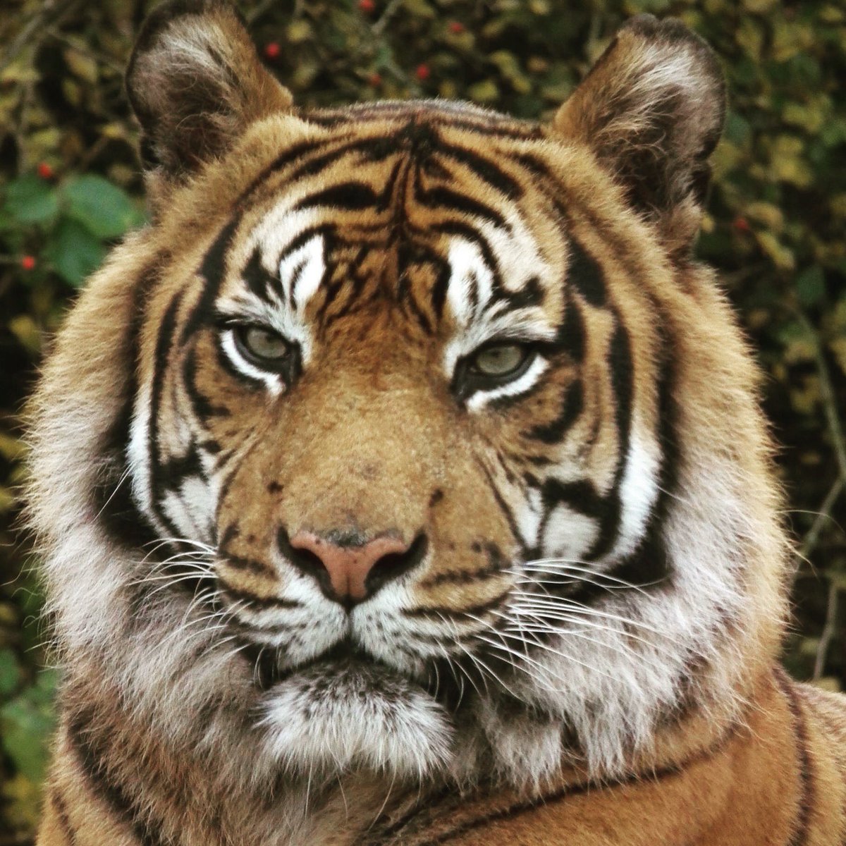 Giles Clark tweet media