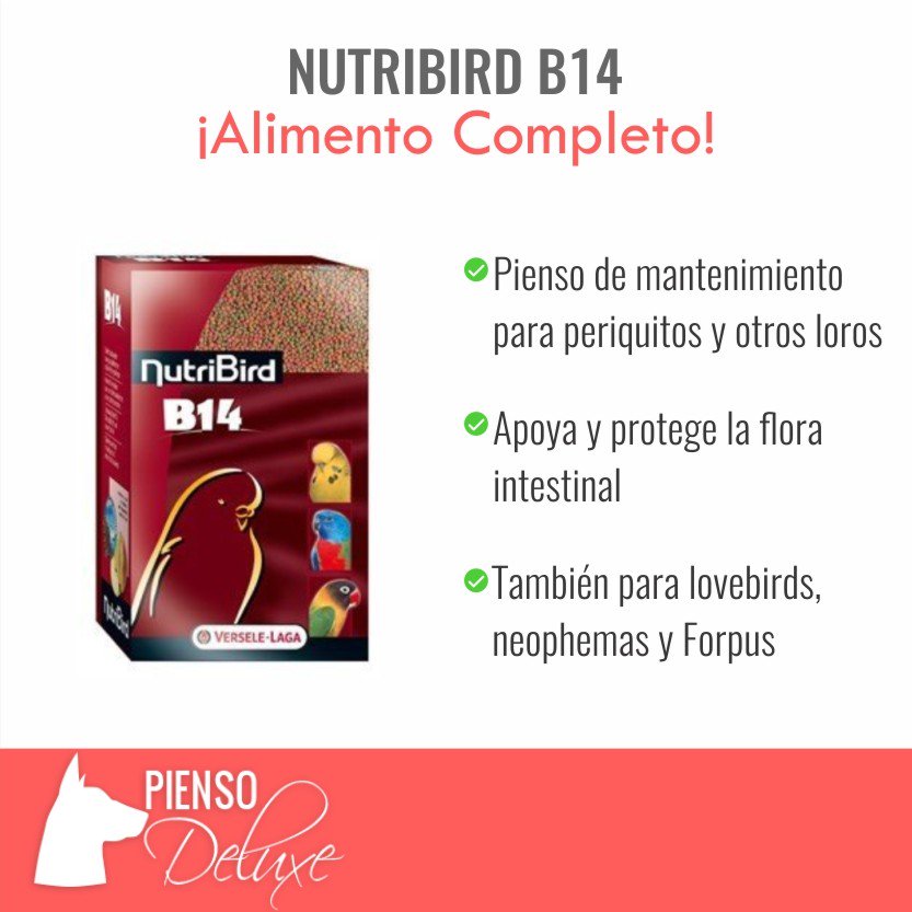 PiensoDeluxe's tweet photo. El #pienso para #periquitos y #loros NutriBird protege su flora intestinal https://t.co/s8xXsuBGd0 🐤🐦 https://t.co/lrattokpqW