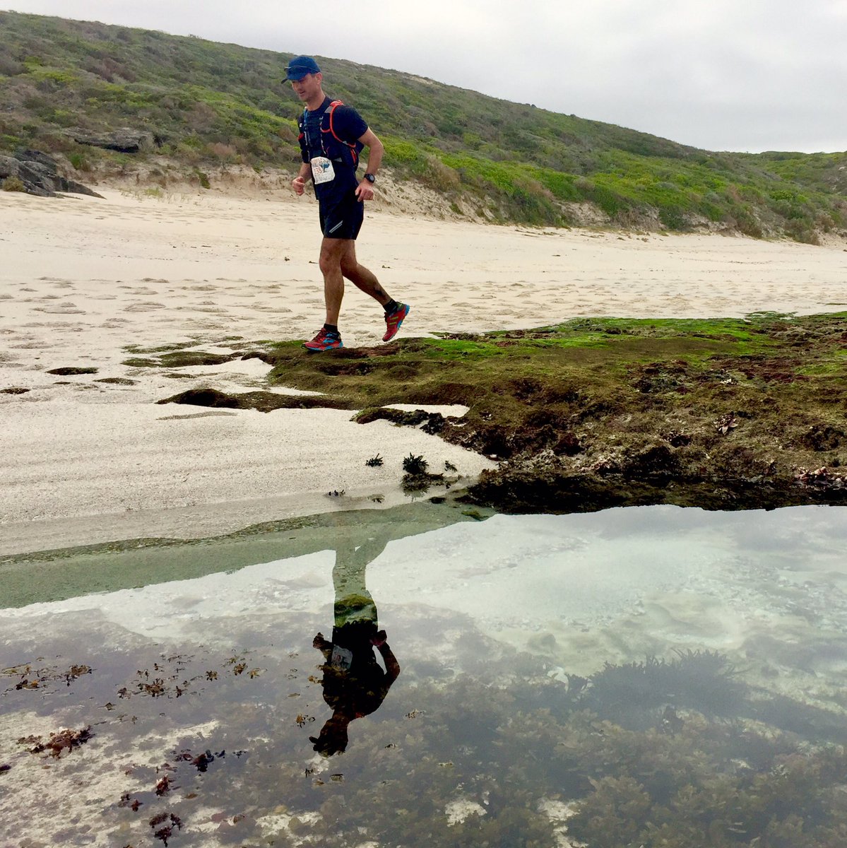 whaleoftrail's tweet photo. Runner's could not have asked for more ideal conditions today! #WOT2017 https://t.co/H68DhtywpT