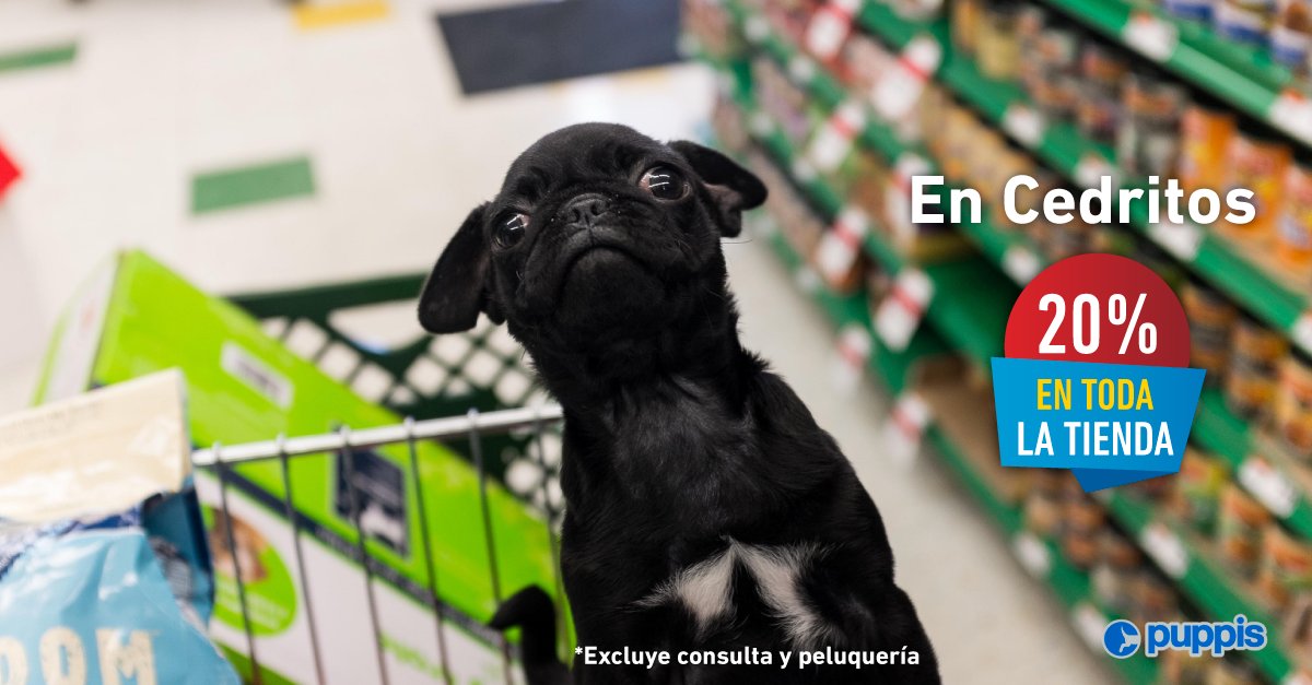 puppiscol's tweet photo. ¡Llévame de compras! Aprovecha HOY y MAÑANA  Puppis Cedritos tendrá descuentos en todos sus productos de la tienda. #AmigosPuppis #PetStore https://t.co/DvUU1uhcks