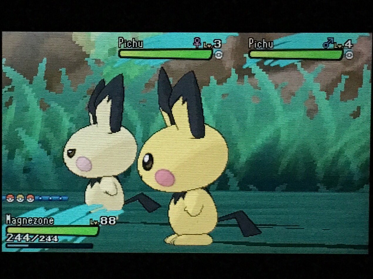 色違いポケモン Twitter