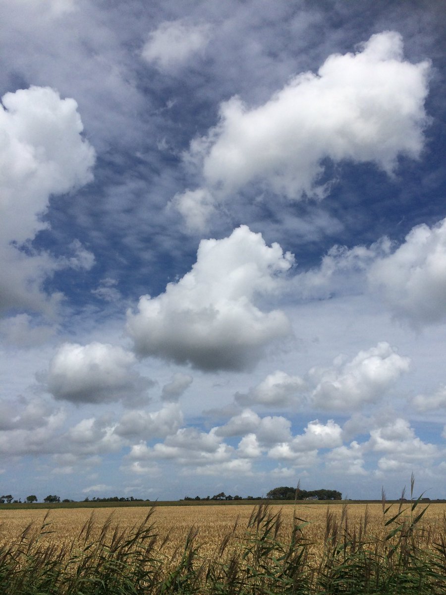 Heerlijk op Texel deze week! #Texel #Lucht #Tarwe