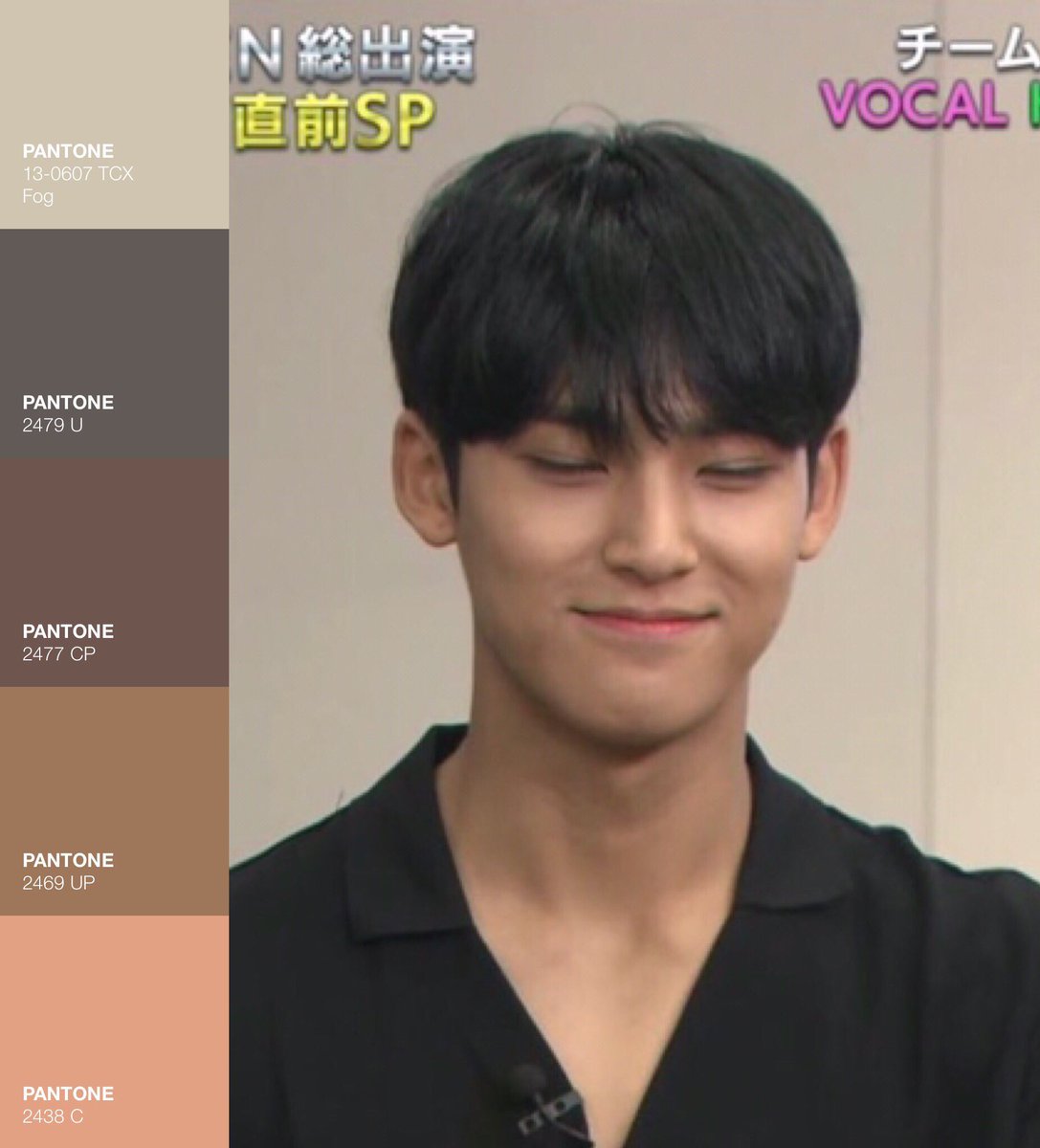 unbleached mingyu (@meianingyu) on Twitter photo 