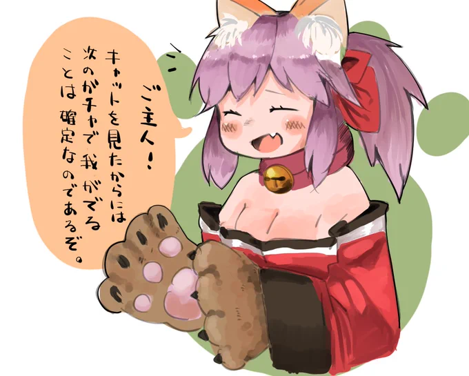 タマモキャットが召喚されない方へ 