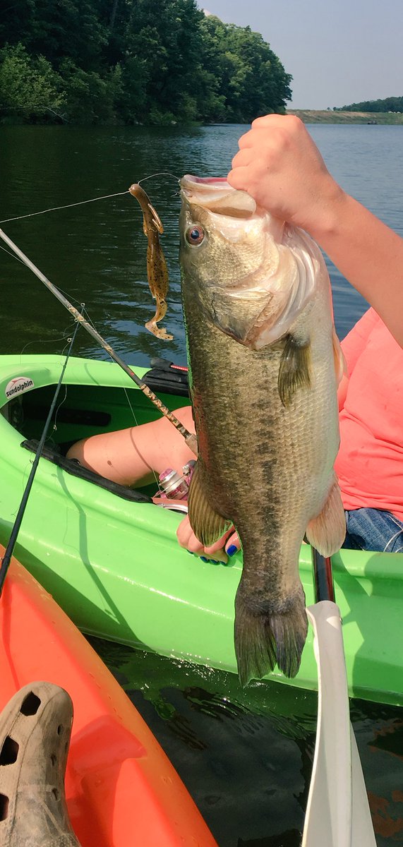 agparham74's tweet photo. Thank god for bass fishing 😛 #catchinghogs https://t.co/giaeTQvbnr