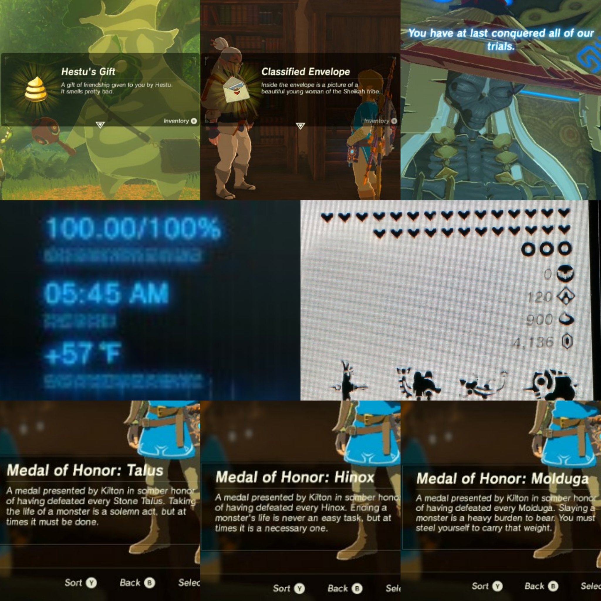 master's degree Exchange county classified envelope botw use Various