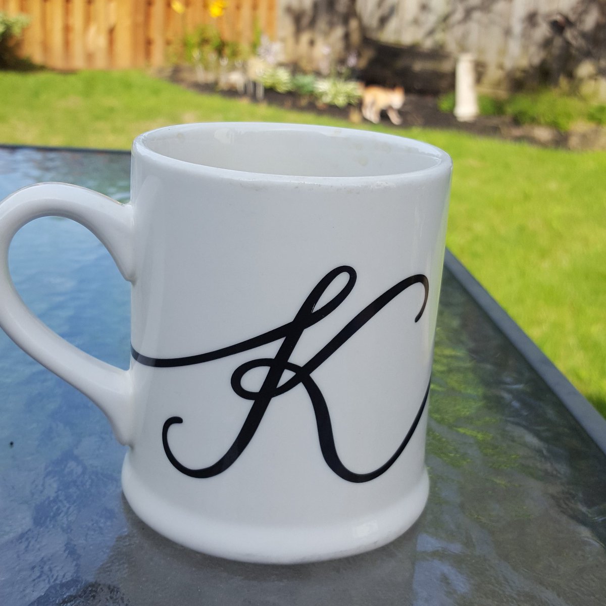 kellieh65's tweet photo. Nothing better than morning coffee outside! #gorgeousweather #lovemybackyard https://t.co/5KzhLviD3i