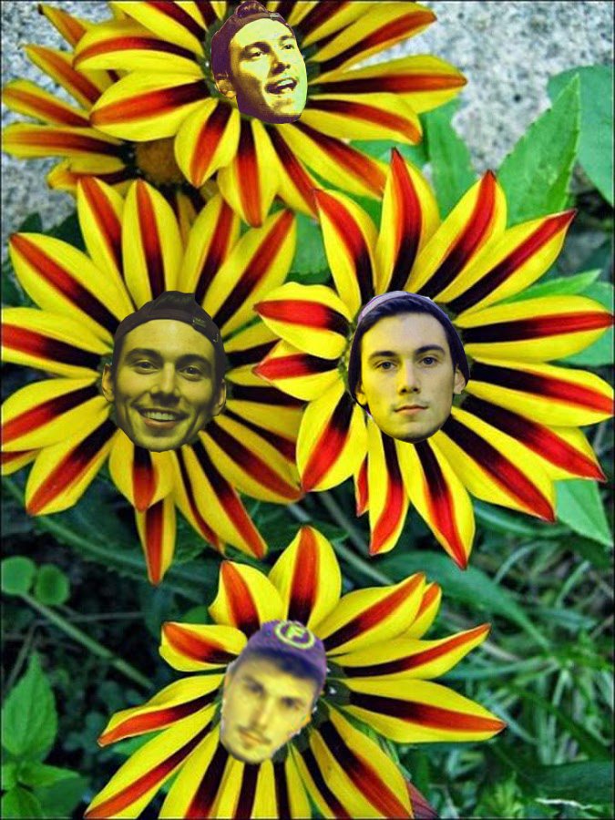 CollinIsFlower's tweet image. 