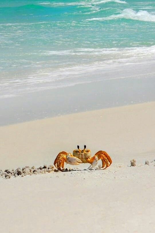 TLo02's tweet photo. Hope is but the dream of those who wake.

#MatthewPrior 

GM beautiful ladies😋⛱🏝

@UruguayLaura @Lizbethfeelings 
@alejandra_amat https://t.co/BNtWwwCi3H