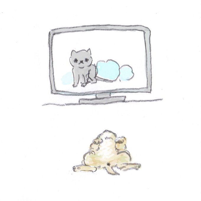 めちゃくちゃくつろぎながら世界ネコ歩きに出てくる猫を見る実家の猫 
