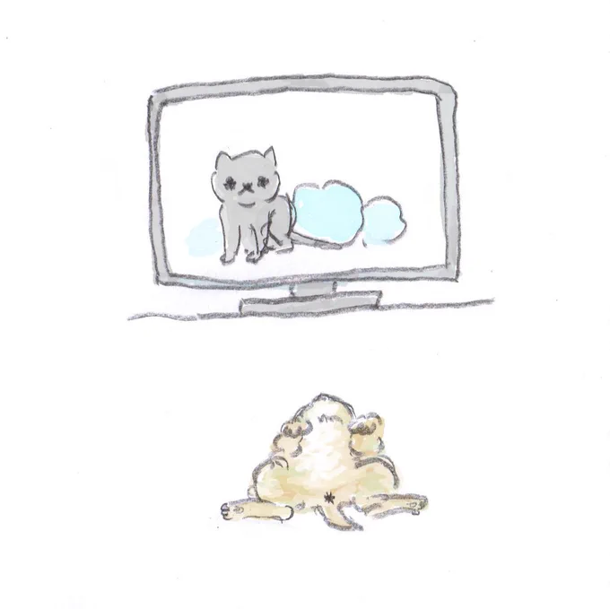 めちゃくちゃくつろぎながら世界ネコ歩きに出てくる猫を見る実家の猫 