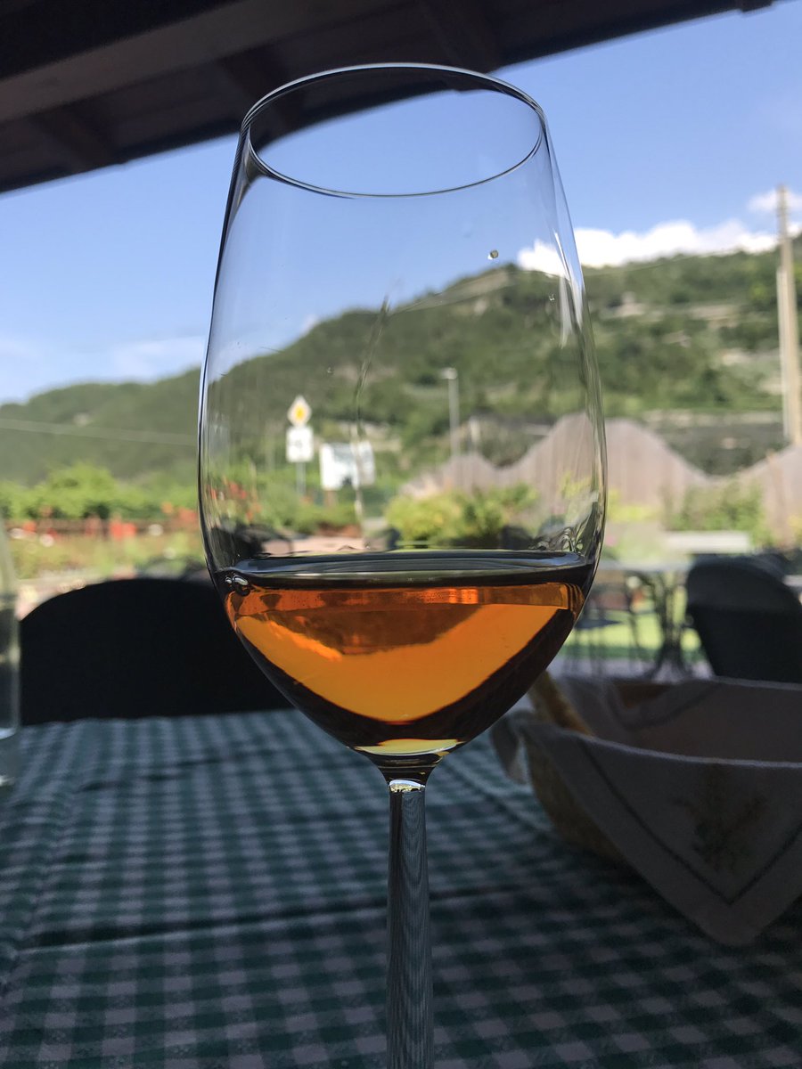 Smitsmeister's tweet photo. Dried apricot with a devine bitter. The best #vinosanto around? #ginopedrotti #wine #Italy https://t.co/WYhm9SXndB