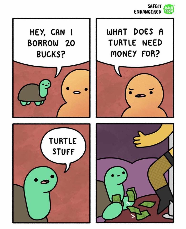 iafdcom's tweet photo. #turtlestuff https://t.co/862Lm5ESUV