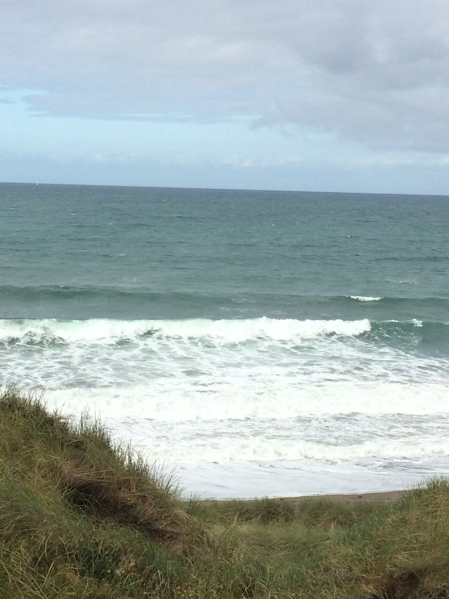 Jelly Fish Surf Shop (@jellysurf) on Twitter photo 