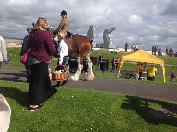 Tourism St Andrews tweet media